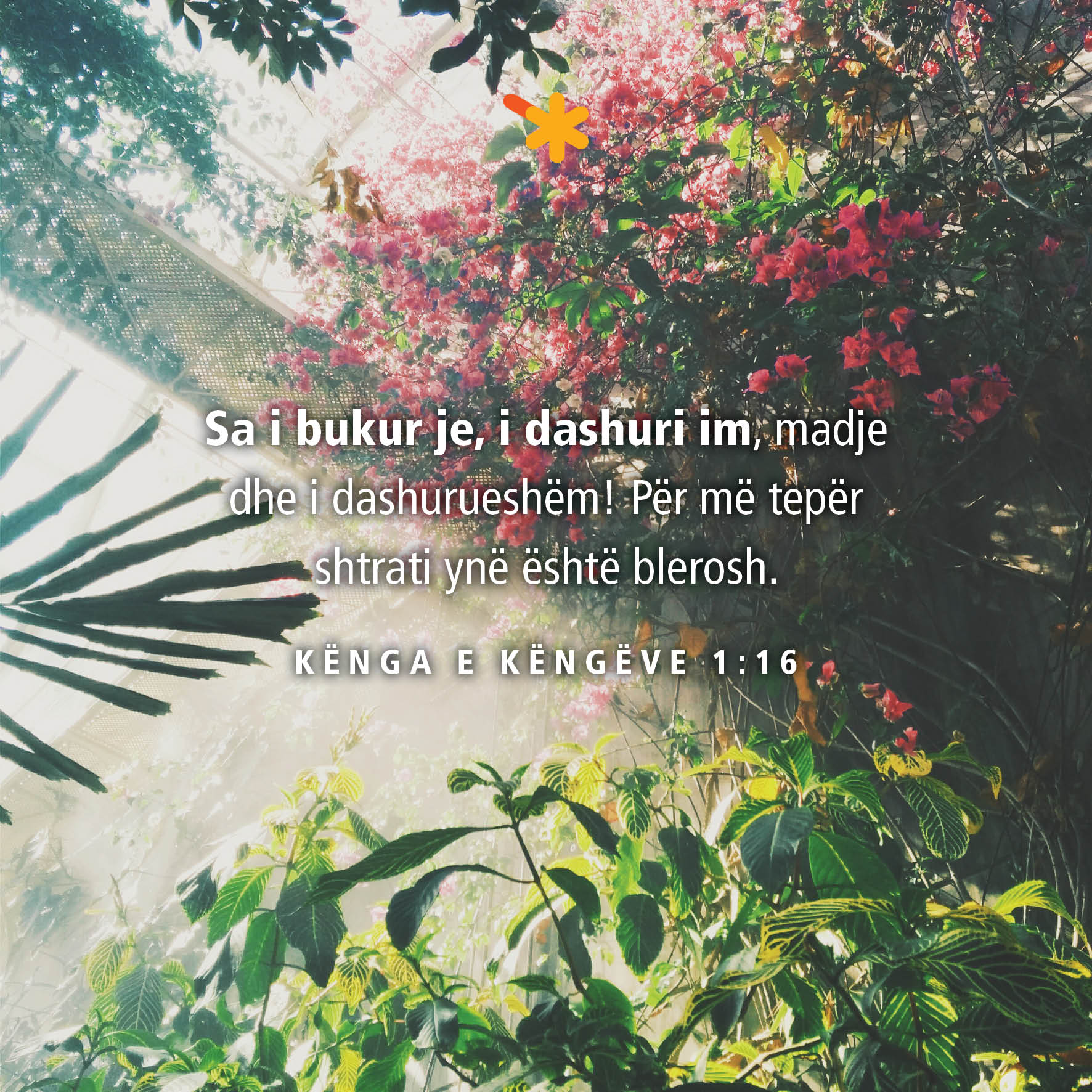 spurgeon dev 22 maj pm