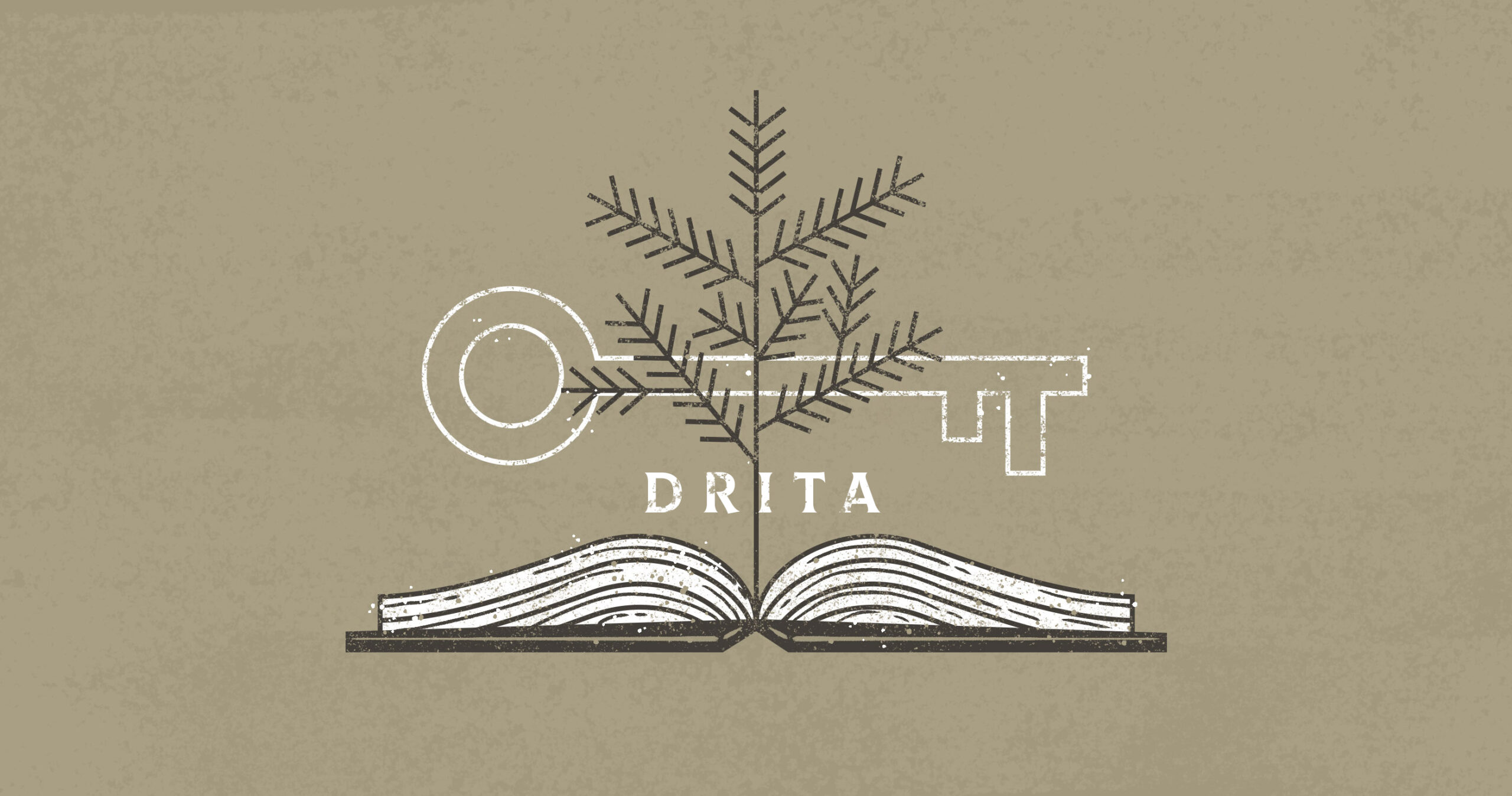 imazhi kryesor drita