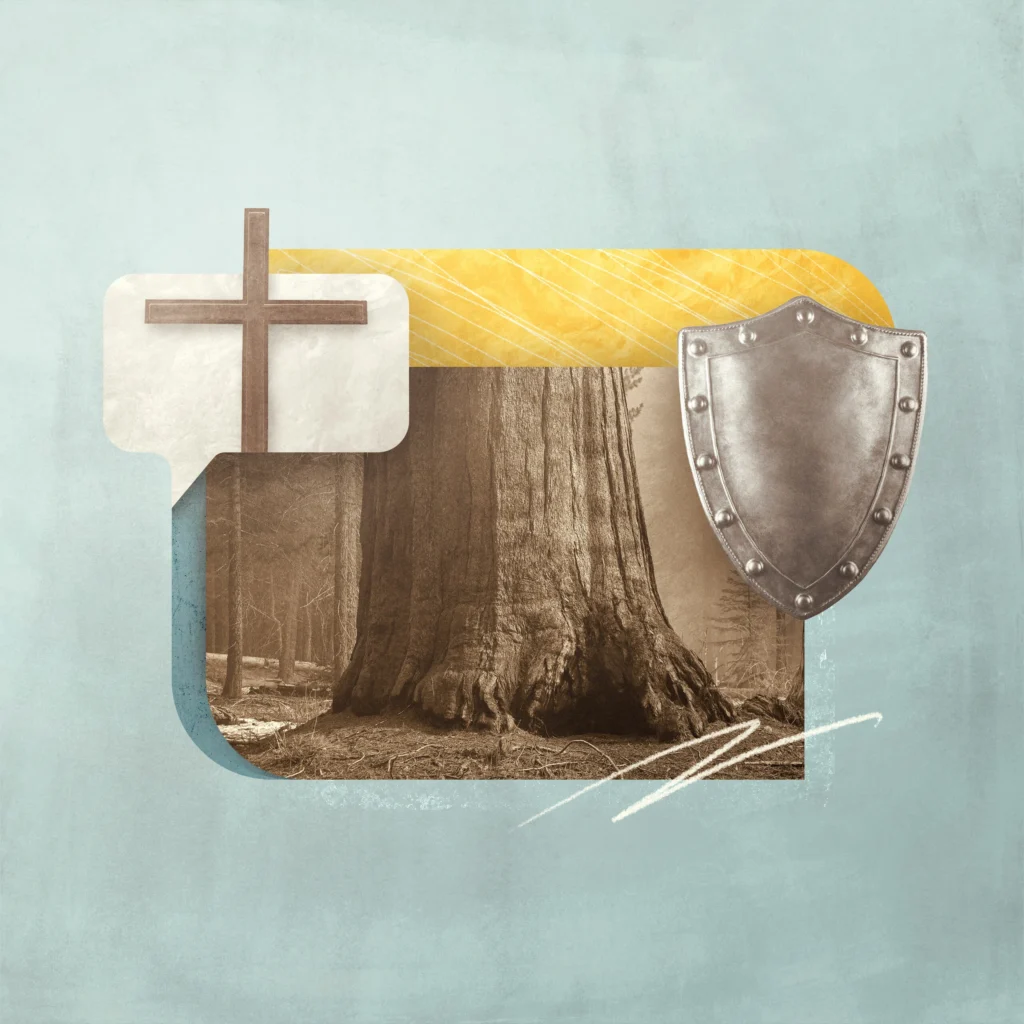 Tri gjëra që duhet t’i dini rreth 1 dhe 2 Timoteut