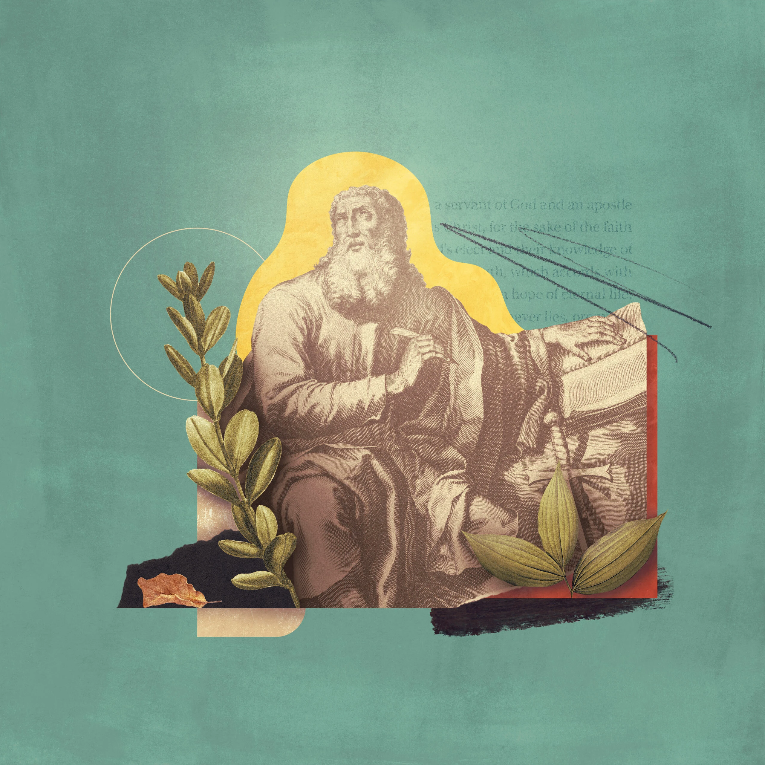 Tri gjëra që duhet t’i dini rreth Titit