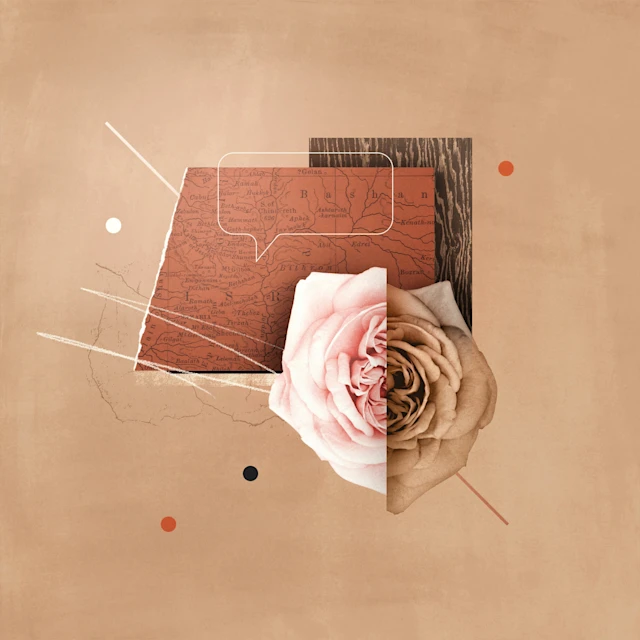 tri gjëra që duhet të dini rreth oseas