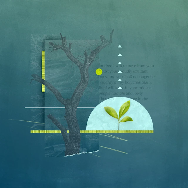 tri gjëra që duhet t’i dini rreth sofonisë