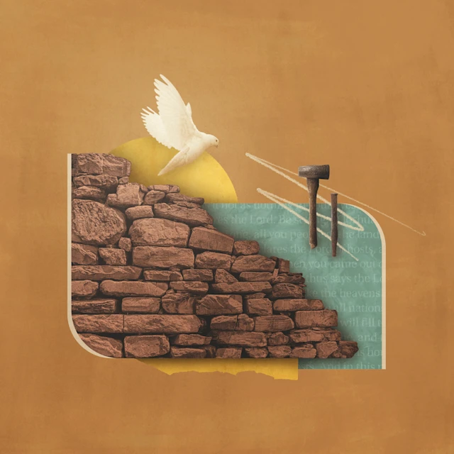 tri gjëra që duhet t’i dini rreth hagait