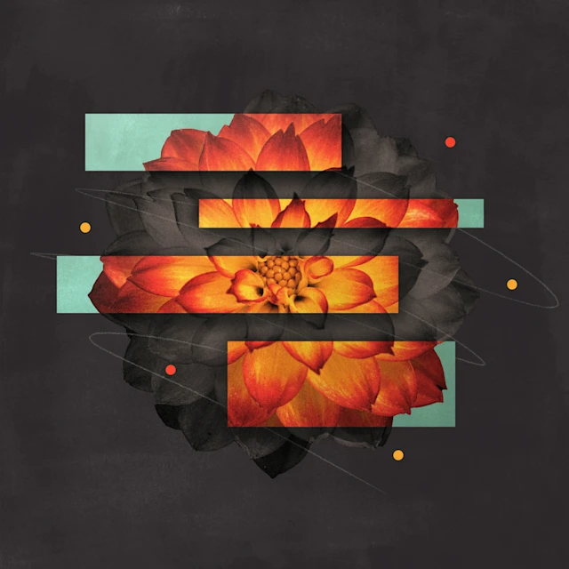 tri gjëra që duhet t’i dini rreth malakias