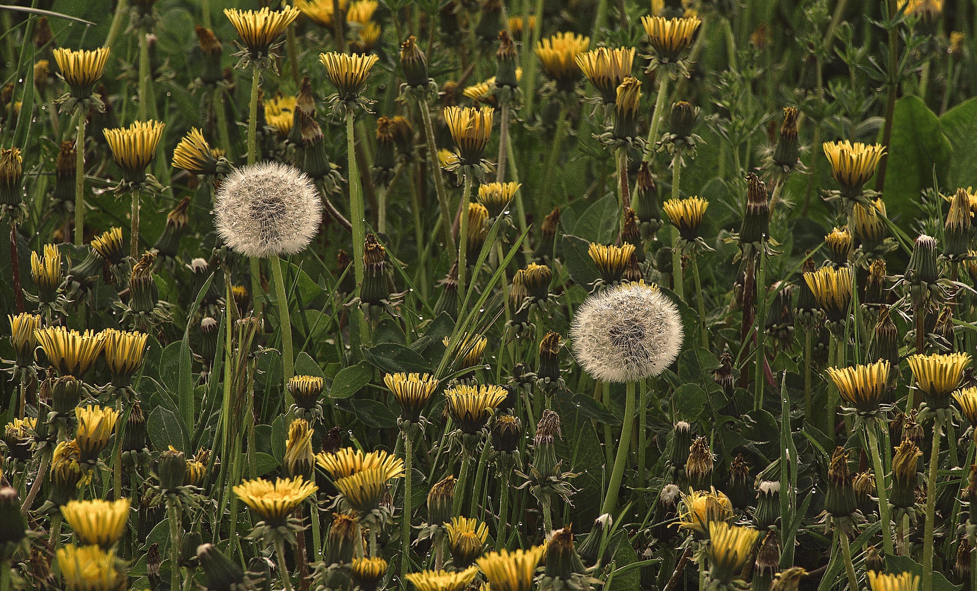 Një fortesë për shpirtrat tanë
