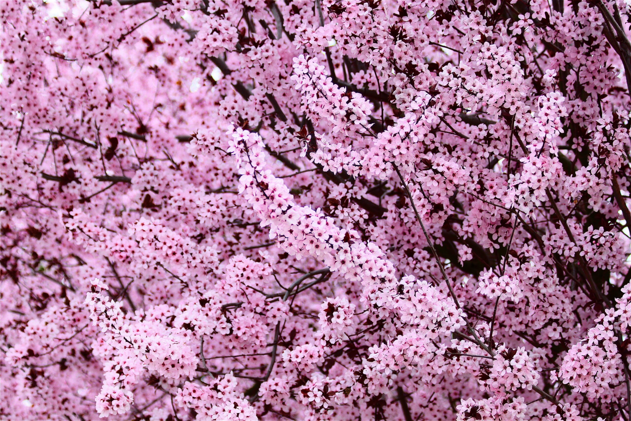 Një vend të ri për të banuar