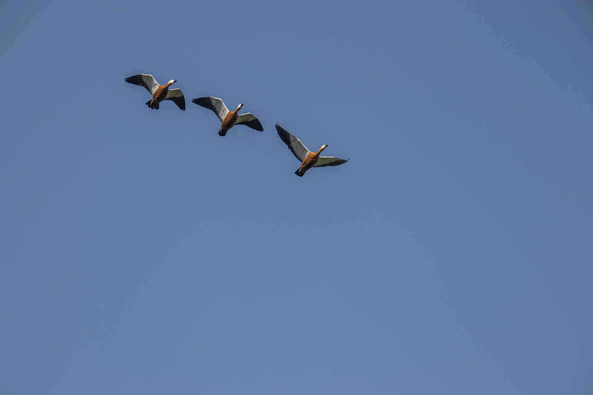 Njohja e Perëndisë