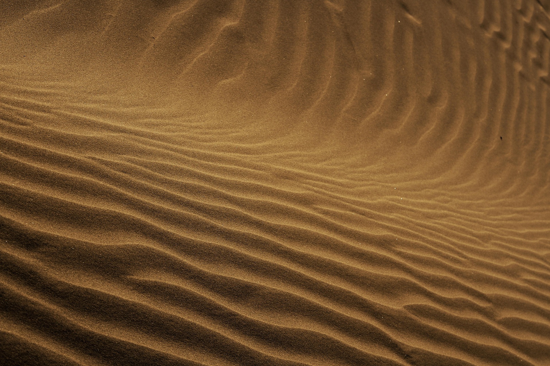 Perëndia është në anën tonë