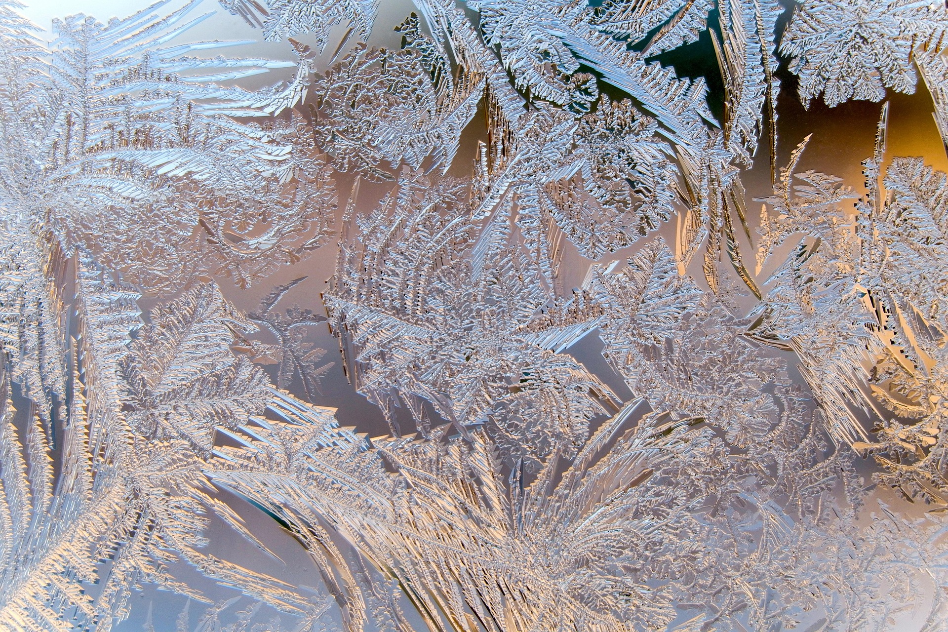 Të trashëgosh mbretërinë