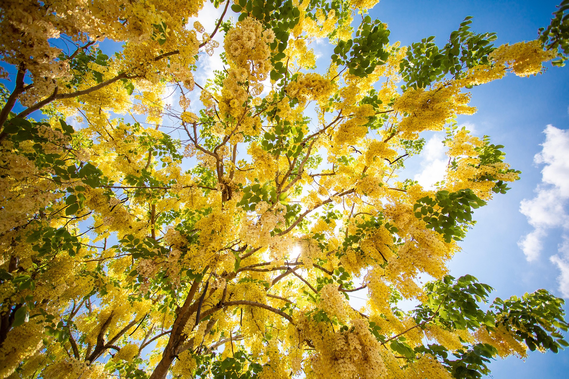 Ngushëllim për një mendje të trazuar