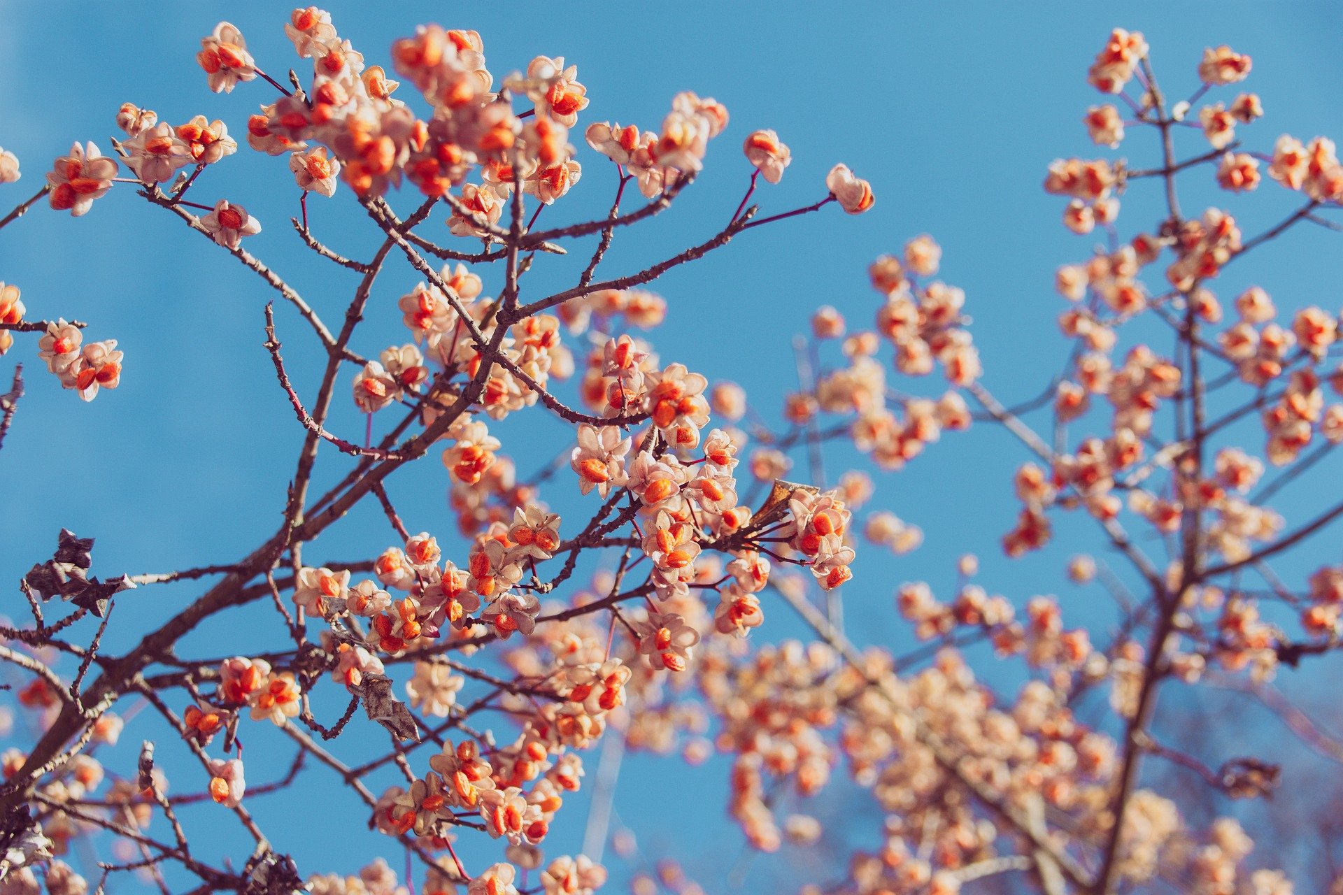 Me çdo qëndrueshmëri