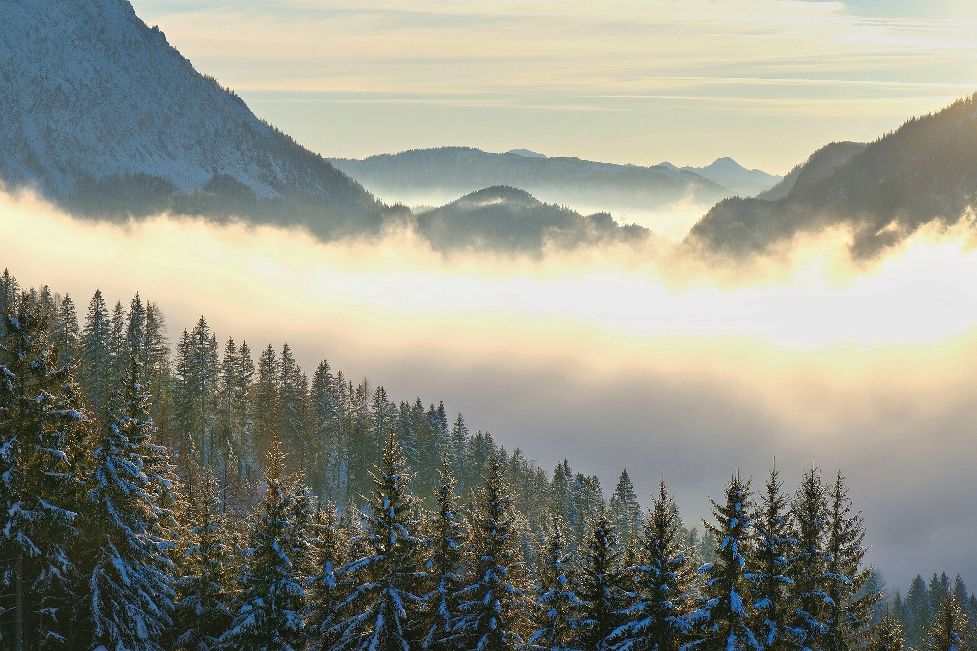 Një flijim i pëlqyeshëm